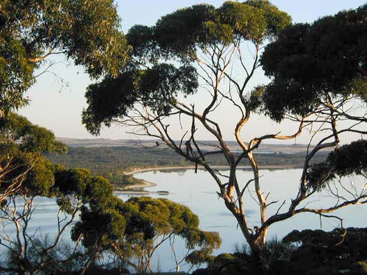 Aussicht auf Strawbridge Point